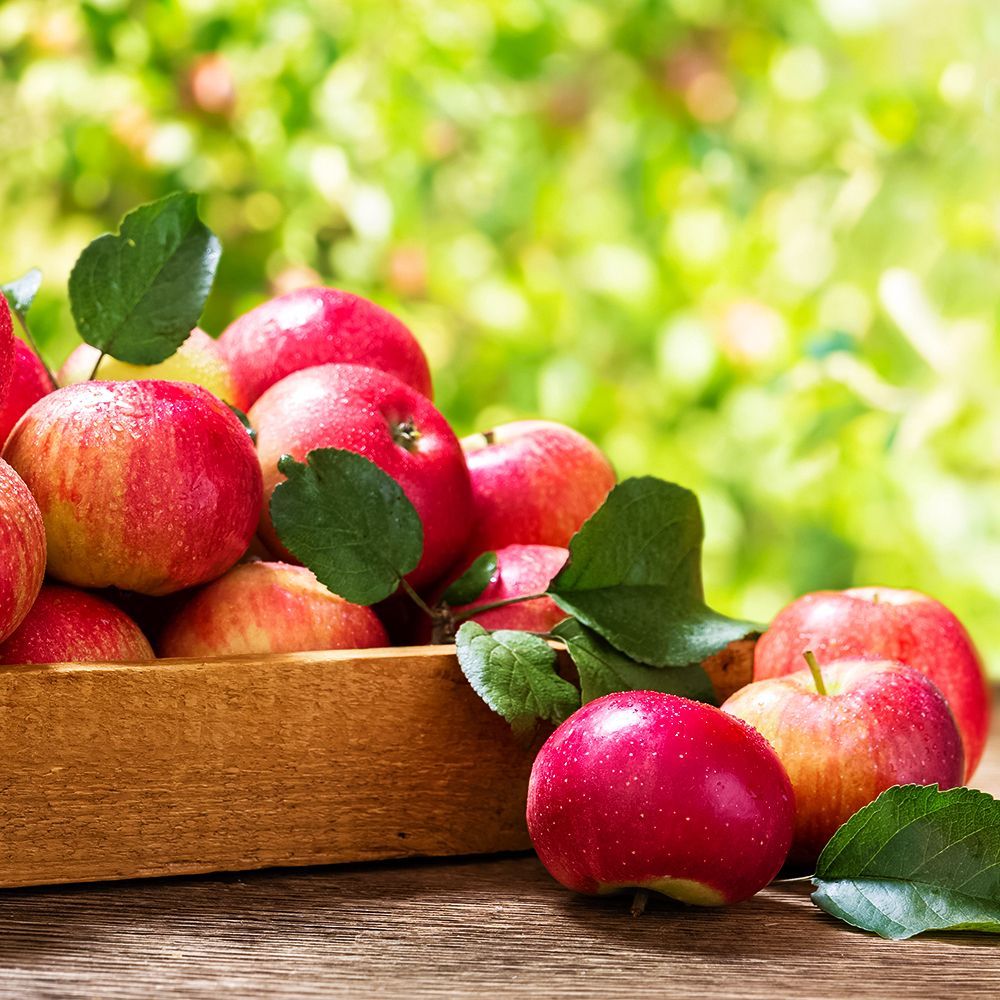 ���������� ������ ��� �������� ������� ����� �����������  