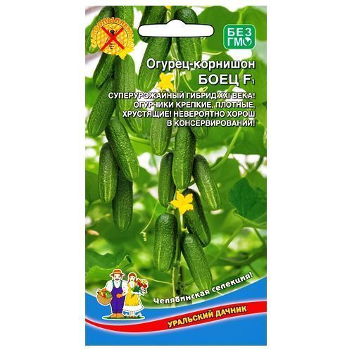 ���������� ������ �������� ���� F1 ��������� ������  