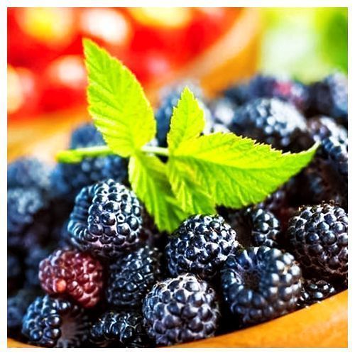 ���������� ������ ������ ������ ���������  