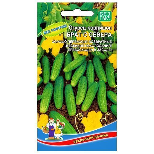 ���������� ������ �������� ���� � ������ ��������� ������  