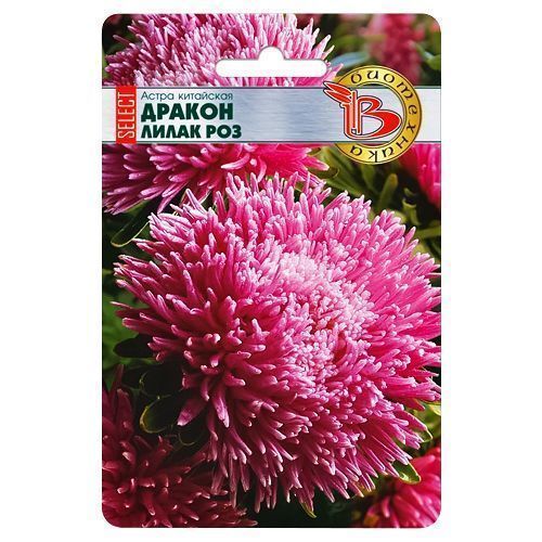 ���������� ����� ��������� ������ ������ ����� ���� ����������  