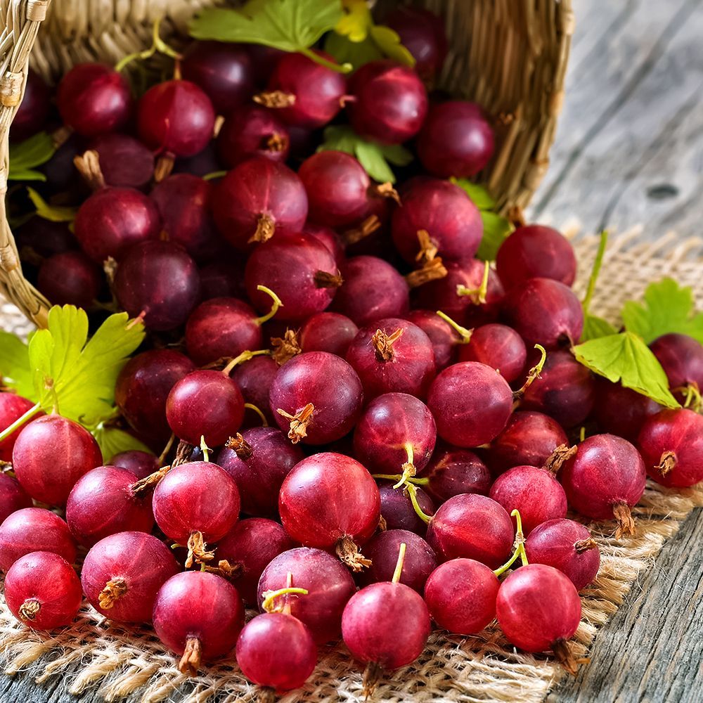 ���������� ��������� ���������������� ������  