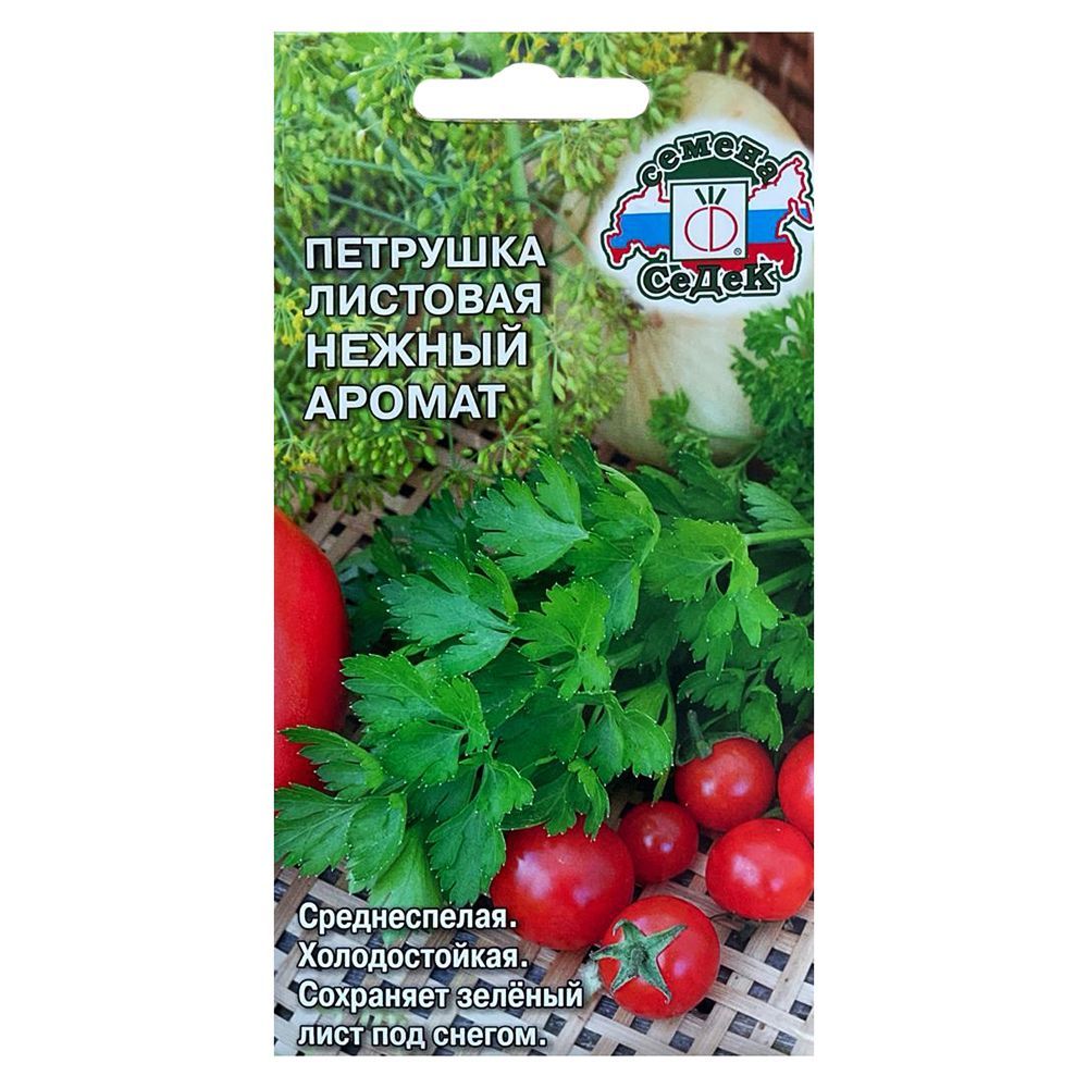 ���������� �������� �������� ������ ������ �����  