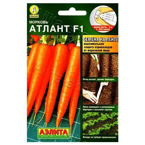 ���������� ������� ������ F1, �� ����� ������  