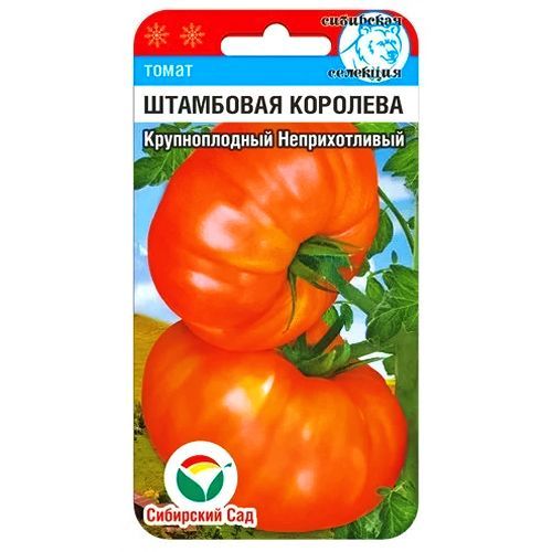 ���������� ����� ��������� �������� ��������� ���  