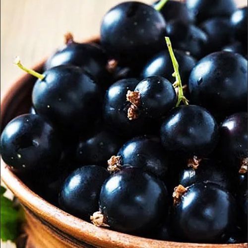 ���������� ��������� ������ ������ �����  