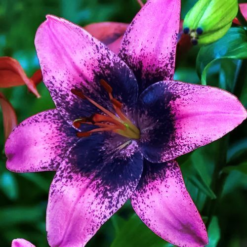 ���������� ����� ��������� ����� ����  