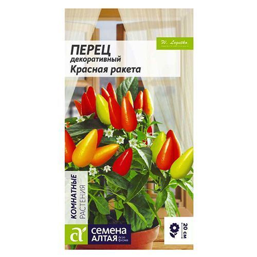 ���������� ����� ������������ ������� ������ ������ �����  