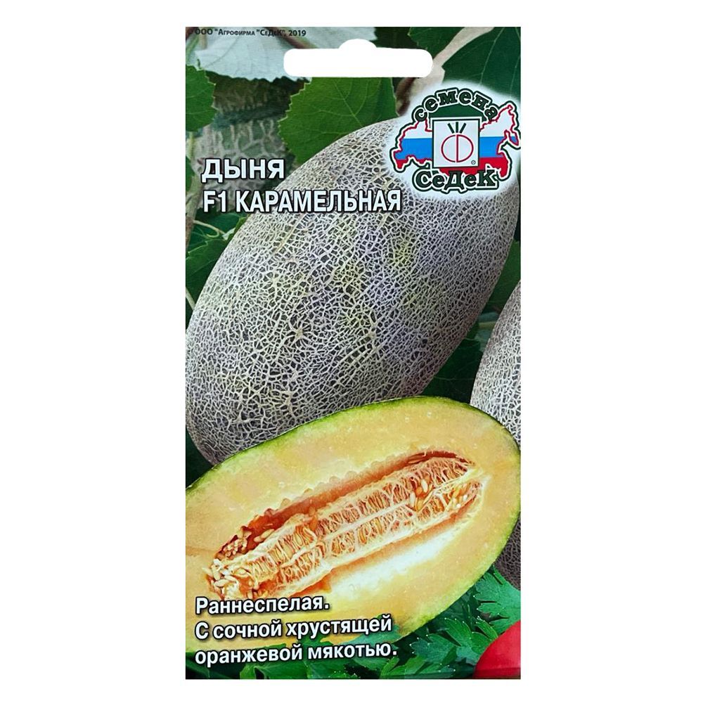 ���������� ���� ����������� F1 �����  