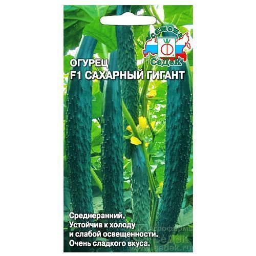 ���������� ������ �������� ������ F1 �����  