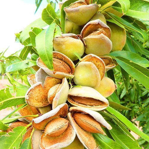 ���������� ������� ���������  