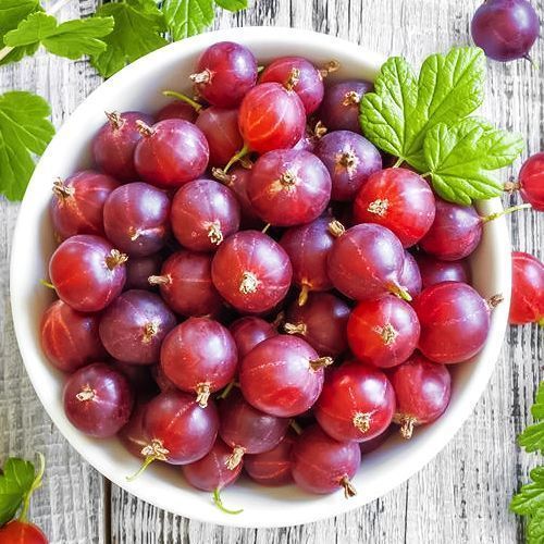 ���������� ��������� �����  