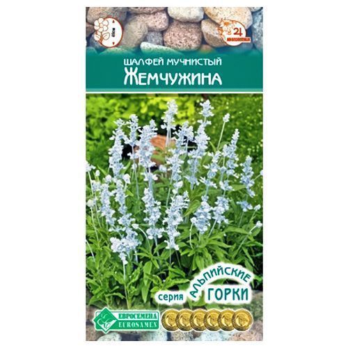 ���������� ������ ��������� ��������� ����������  