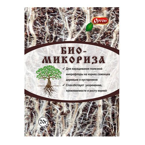 ���������� �����������, ���������� ���������������� 20 �  