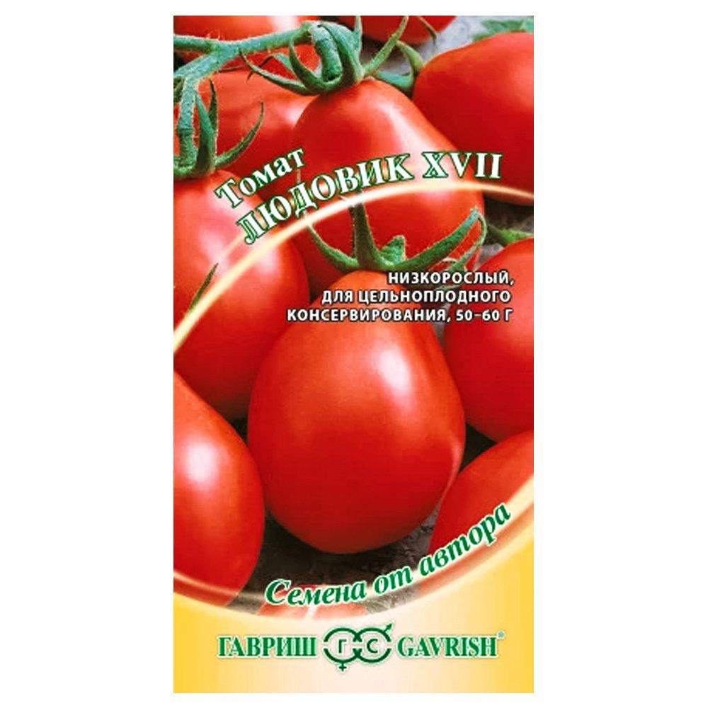 ���������� ����� ������� XVII ������  