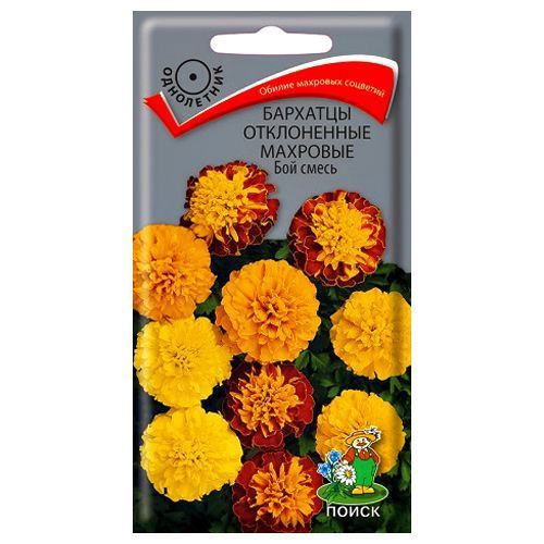 ���������� �������� ����������� �������� ���, ����� ������� �����  