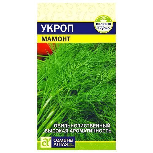 ���������� ����� ������ ������ �����  