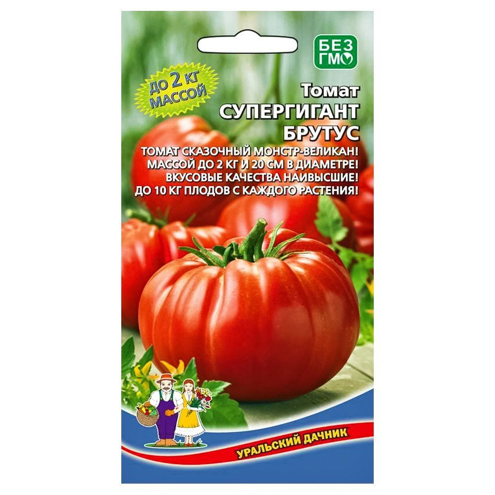 ���������� ����� ����������� ������ ��������� ������  