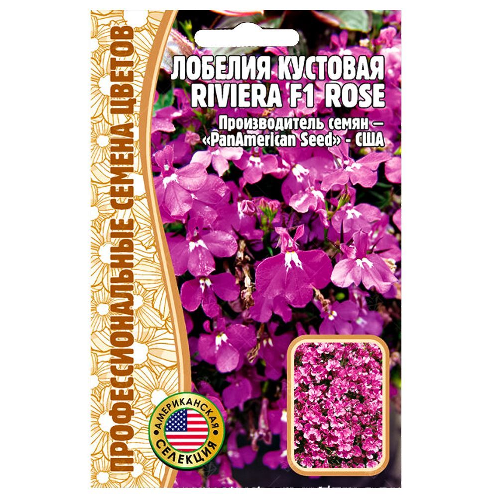    Riviera Rose F1    