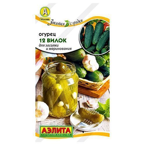 ���������� ������ �������� 12 ����� ������  