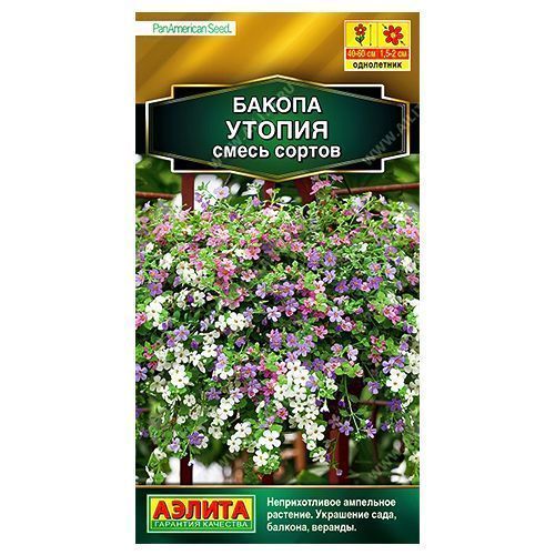 ���������� ������ ������, ����� ������� ������  