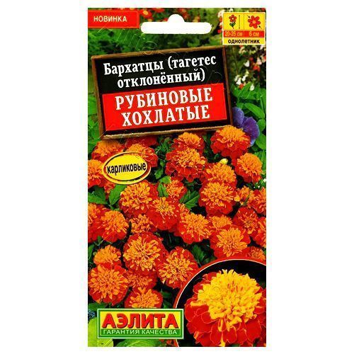 ���������� �������� ����������� ��������� �������� ������  