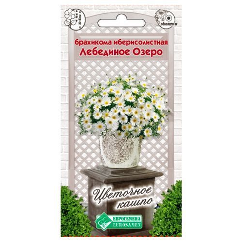 ���������� ��������� �������������� ��������� ����� ����������  