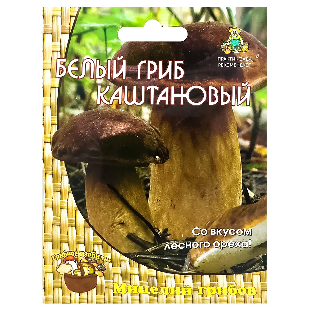 ���������� ����� ���� ���������� �����  