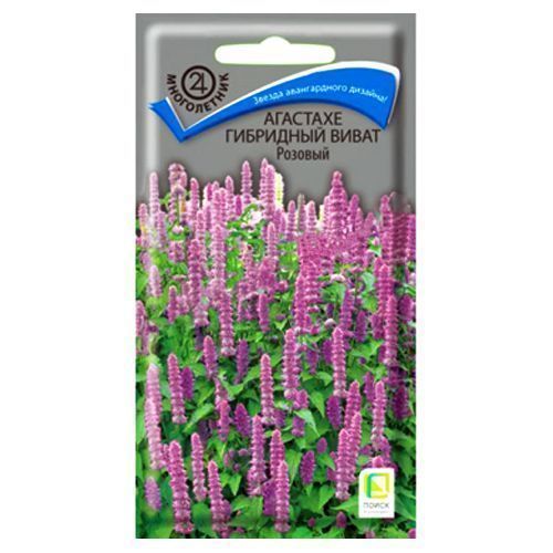 ���������� �������� ��������� ����� ������� �����  