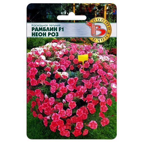 ���������� ������� ��������� ������� F1 ���� ��� ����������  