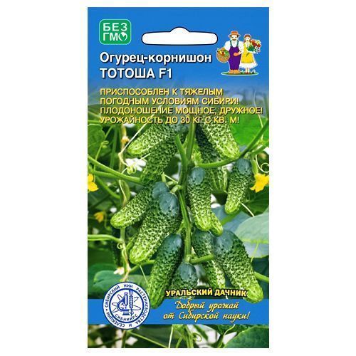 ���������� ������ �������� ������ ��������� ������  