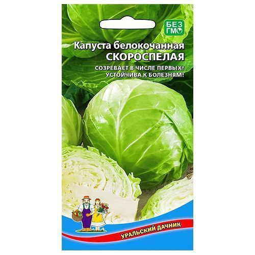 ���������� ������� ������������ ����������� ��������� ������  