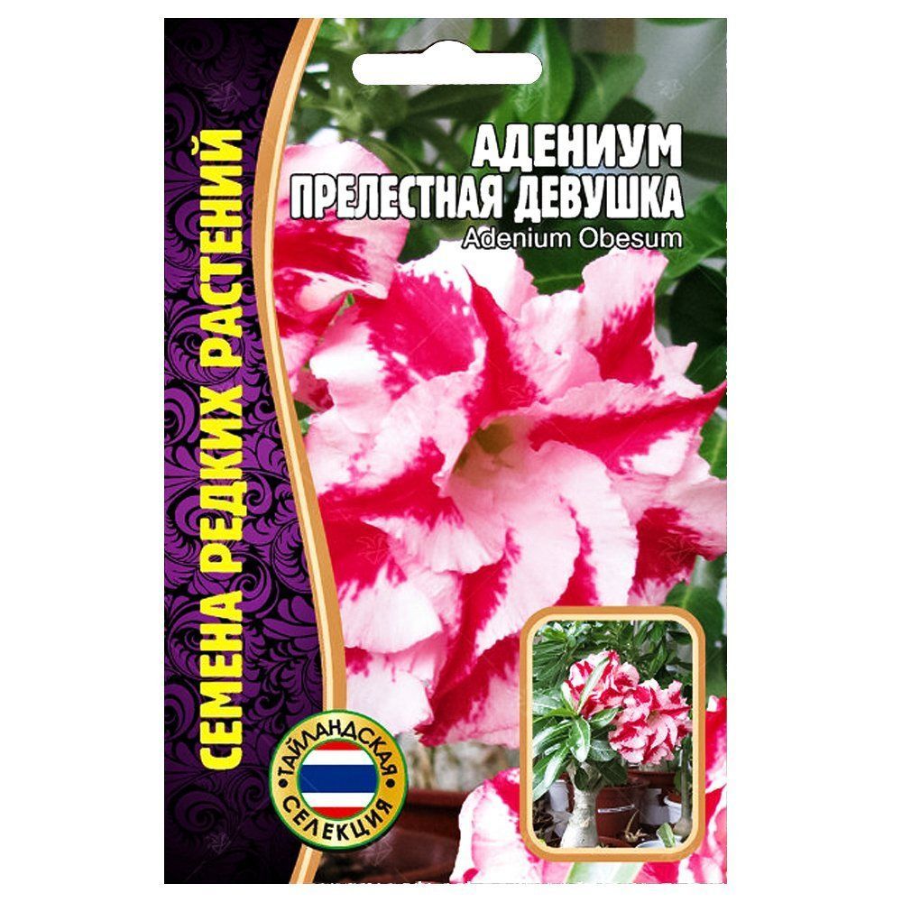 ���������� ������� ���������� ������� ������ ������  