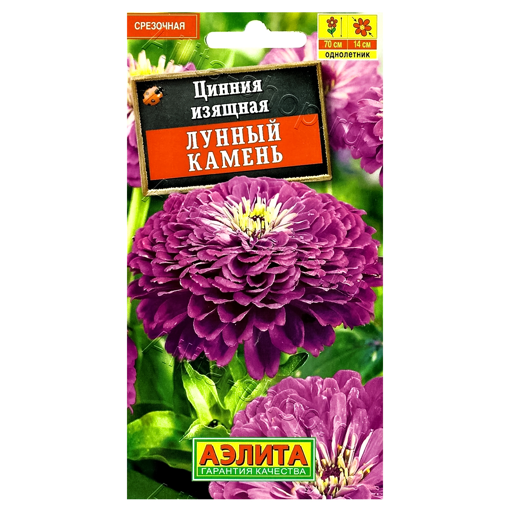 ���������� ������ ������ ������ ������  