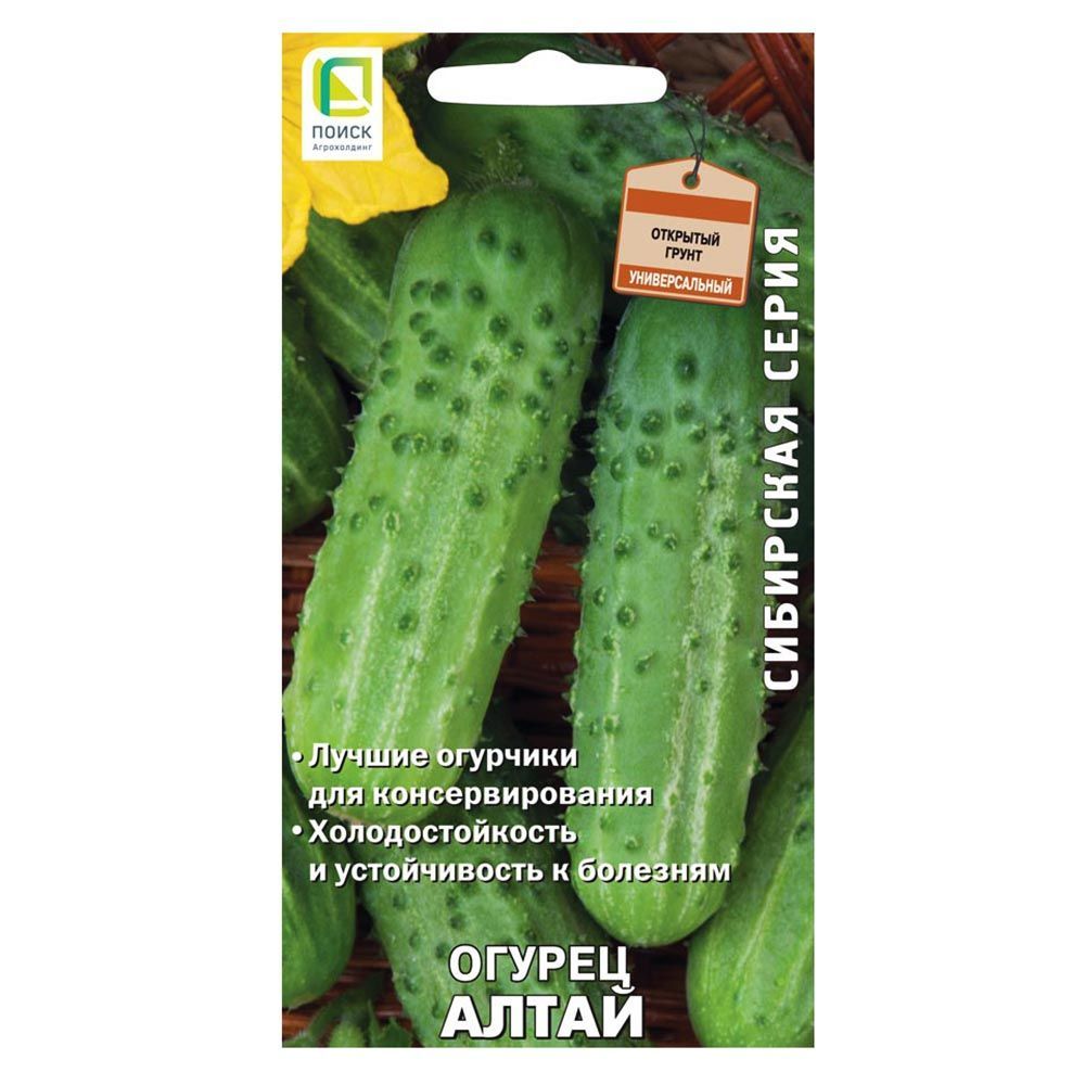 ���������� ������ ����� �����  