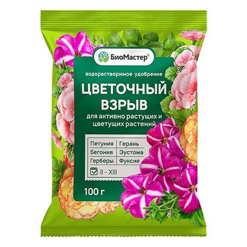 ���������� ��������� ��������� �����, ��������������� ��������� 100 �  