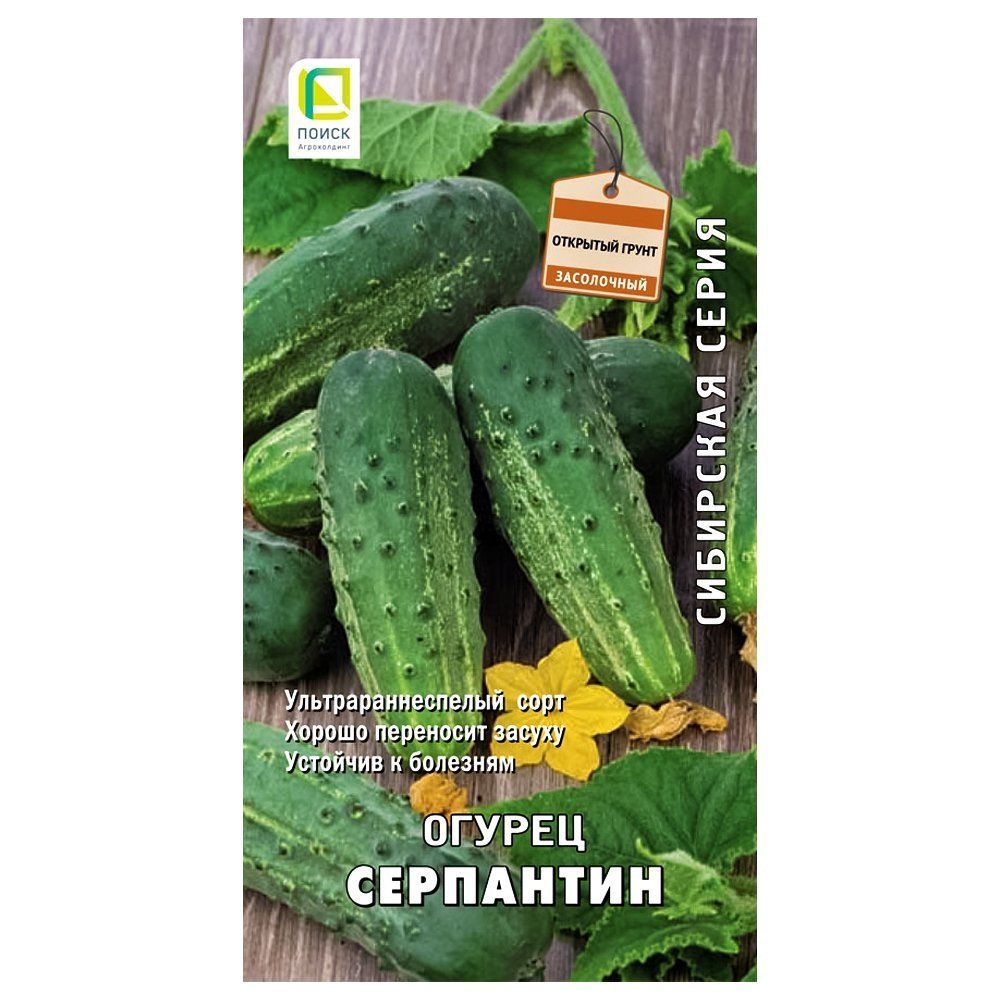 ���������� ������ ��������� �����  