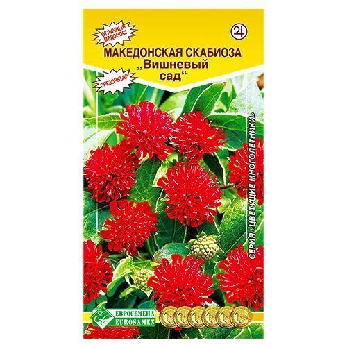 ���������� �������� �������� ��� ����������  