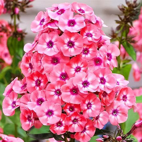 ���������� ����� ����������� ������  