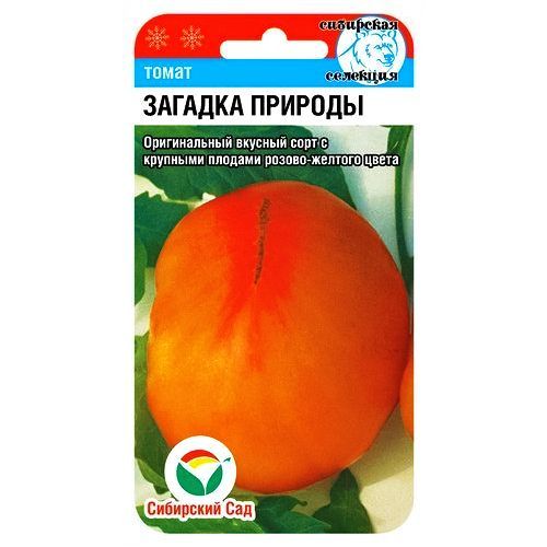 ���������� ����� ������� ������� ��������� ���  