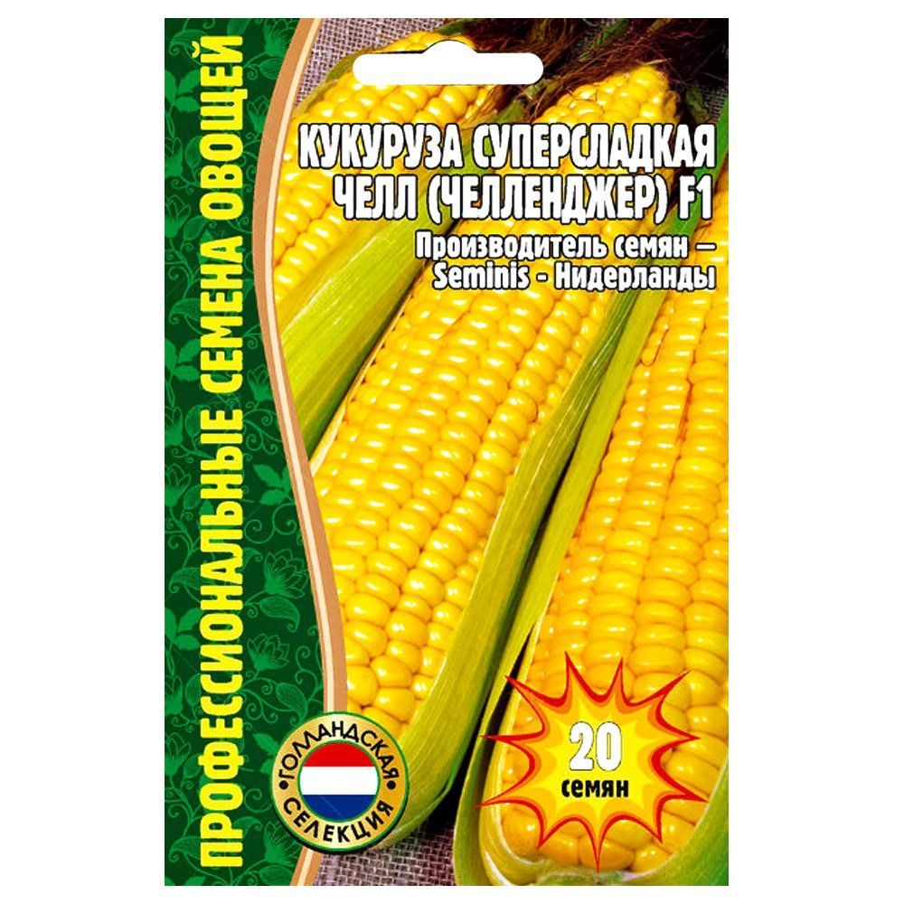 ���������� �������� ������������ ���� (����������) F1 ������ ������  