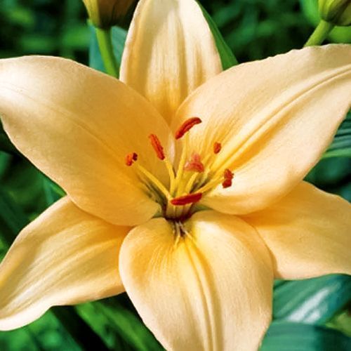 ���������� ����� ��-������ ������� �������  