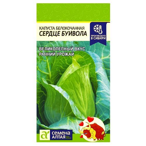 ���������� ������� ������������ ������ ������� ������ �����  