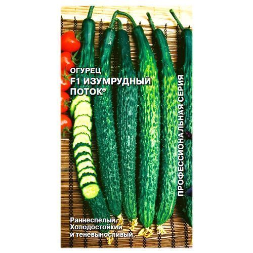 ���������� ������ ���������� ����� F1 �����  