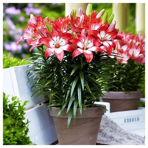 ���������� ����� ��������� ��������� ������� ����  