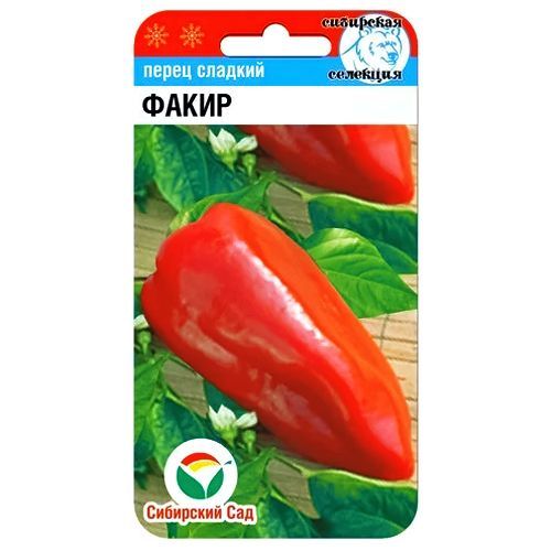 ���������� ����� ������� ����� ��������� ���  