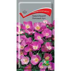 ���������� ��������� ������� ���  