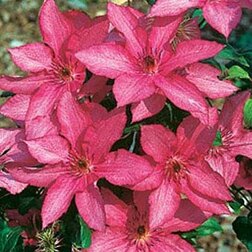 ���������� �������� ��������������� �������  