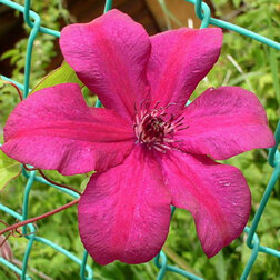 ���������� �������� ��������������� �������� ���������  