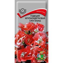 ���������� ������� ��������������� ����� ������  